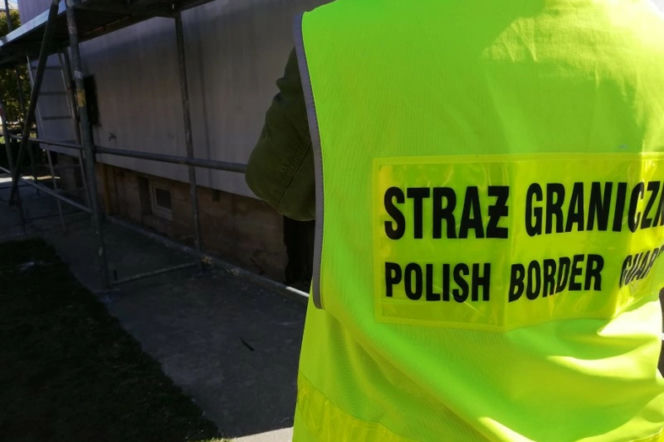 nielegalnie zatrudnieni