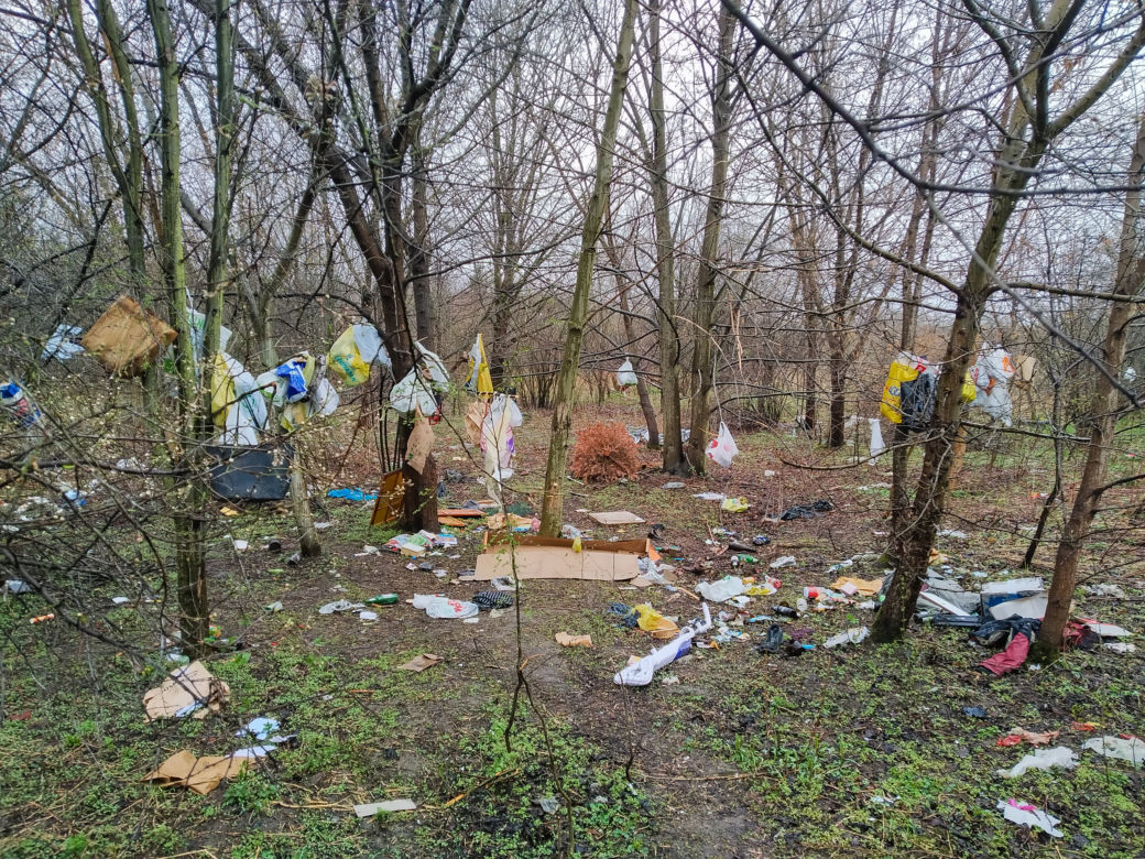 Wysypisko śmieci niedaleko Jeziorka Czerniakowskiego
