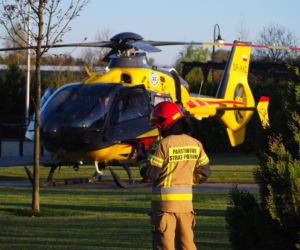 Koń przygniótł nastolatkę