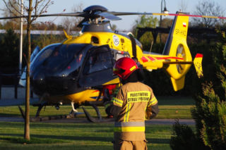 Koń przygniótł nastolatkę