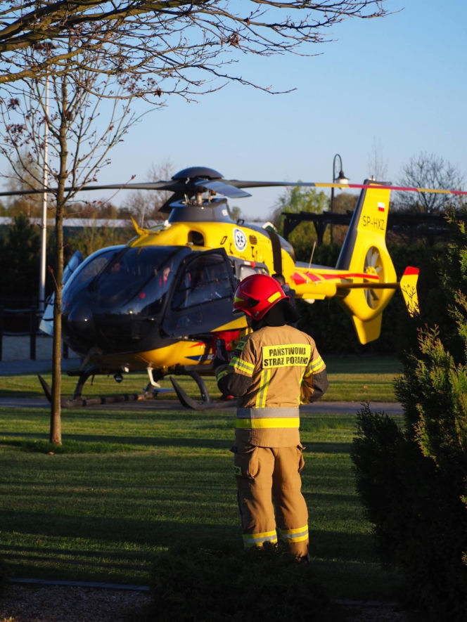 Koń przygniótł nastolatkę