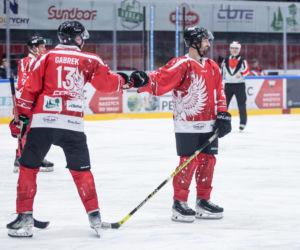 Hokej z Gwiazdami w Tychach dla WOŚP. Na lodowisku gwiezdna konstelacja