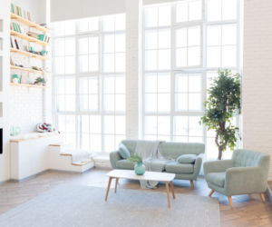 Rośliny w minimalistycznych wnętrzach