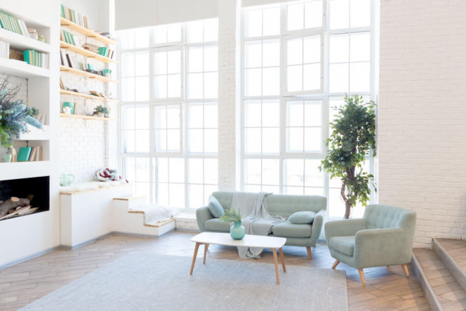 Rośliny w minimalistycznych wnętrzach