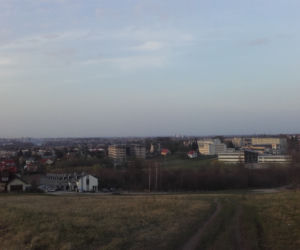 Dzikie wysypisko w Rzeszowie