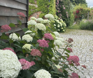 Remont domu z lat 30. i wiejski ogród