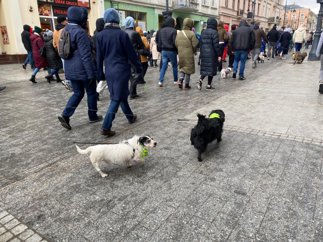 Parada Kundelków