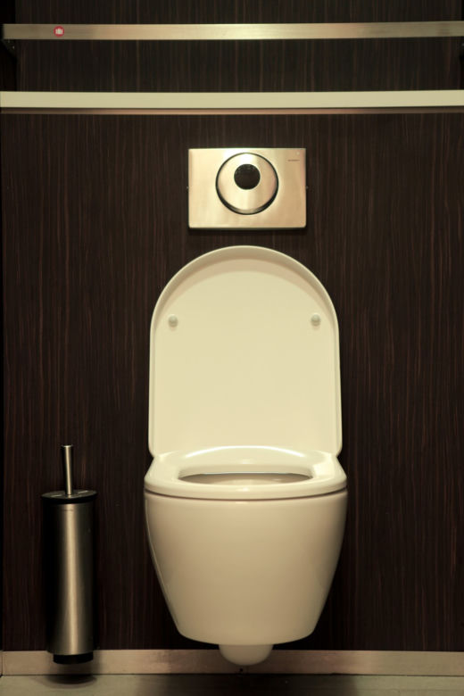 WC/2theloo-1 300Kb
