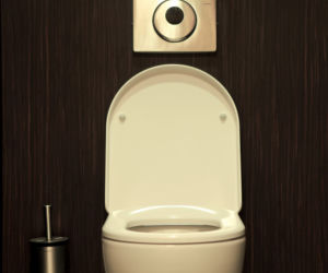 WC/2theloo-1 300Kb