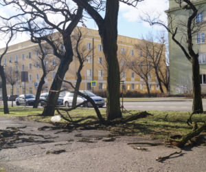 Niszczycielska wichura w Bydgoszczy [ZDJĘCIA]