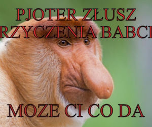 Dzień Babci 2020. Zobacz najlepsze memy