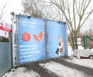 Miał być protest milczenia, doszło do awantury. Gorąco pod schroniskiem w Bytomiu