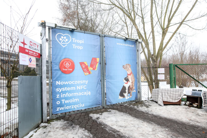 Miał być protest milczenia, doszło do awantury. Gorąco pod schroniskiem w Bytomiu