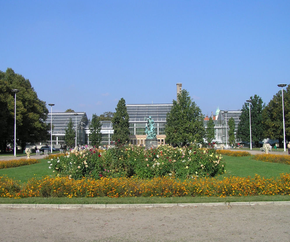 Park Wilsona