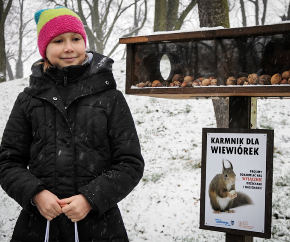 ALICJA RATUJE WIEWIÓRKI.