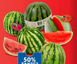 Super promocje w Lidlu