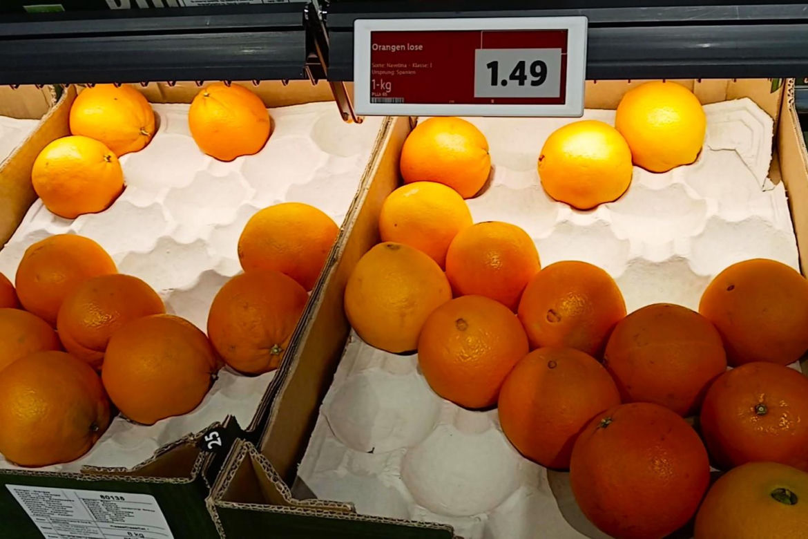 Porównanie cen w polskim i niemieckim Lidlu