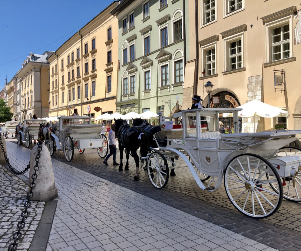 Dorożki wróciły na krakowski Rynek Głównek