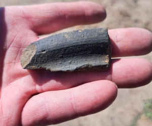 Co archeolodzy wykopali we Wschowie? Zobacz znaleziska