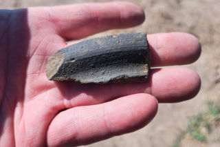 Tajemnice skryte pod ziemią: Wielkie odkrycia archeologiczne we Wschowie