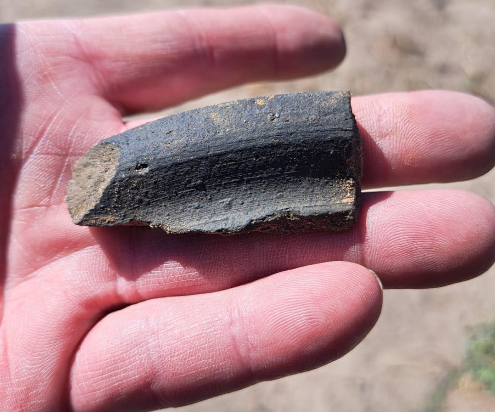 Tajemnice skryte pod ziemią: Wielkie odkrycia archeologiczne we Wschowie