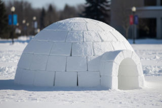 Studenci UW stworzyli hit. Co kryje śnieżna mikrokawalerka?