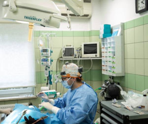 Operacja małego bociana Radzia