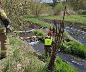Nieznana substancja w rzece Kamiennej