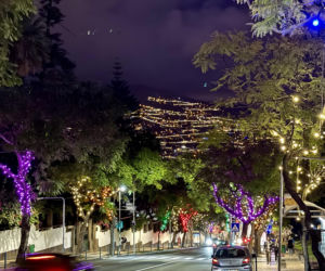 Boże Narodzenie na Maderze