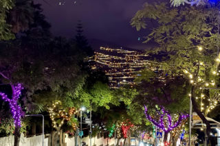 Boże Narodzenie na Maderze