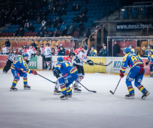 KH Energa Toruń - Tauron Podhale Nowy Targ 6:2, zdjęcia kibiców z Tor-Toru 