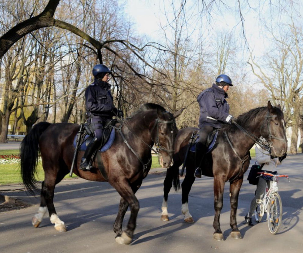Egzamin dojrzałości: policja wlepia mandaty warszawiakom