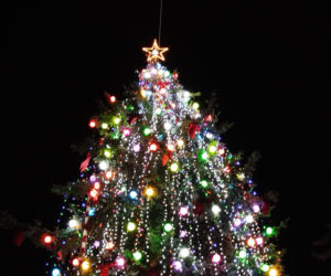 Choinka miejska Siedlce