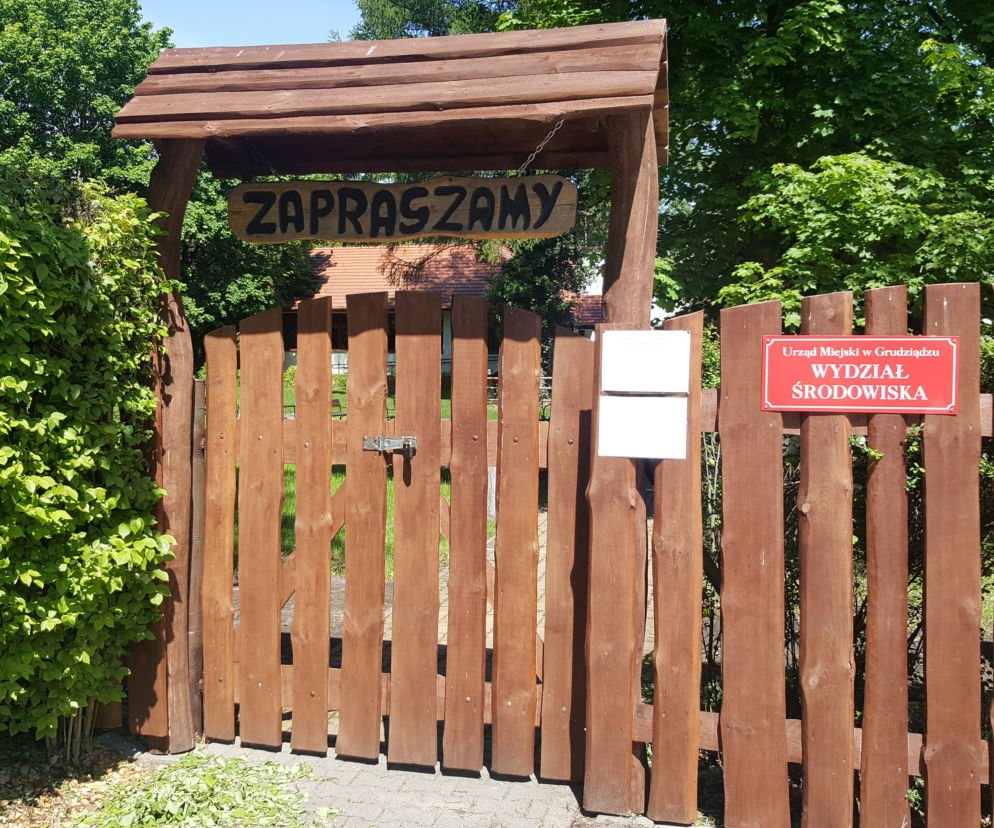 ekologia grudziadz