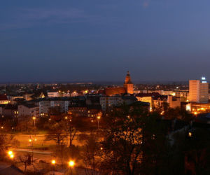Wzgórze w Parku Siemiradzkiego
