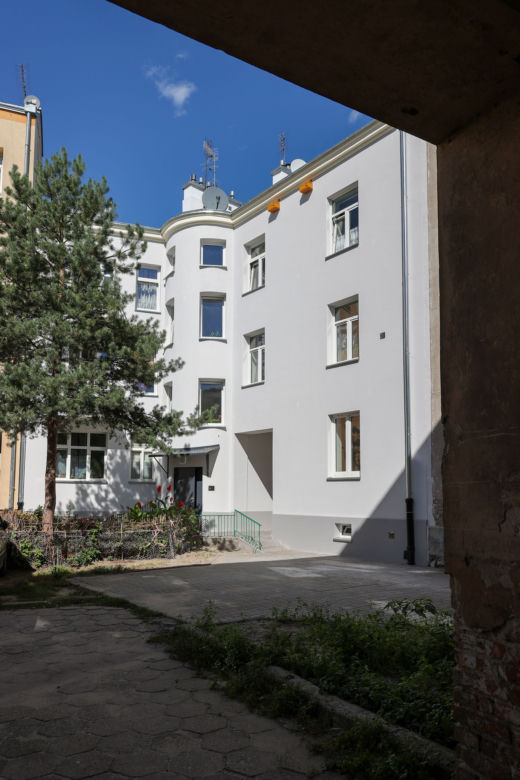 Praga-Południe. Mieszkańcy mają dość życia z robactwem. „Mój kot poluje na prusaki w mieszkaniu!”