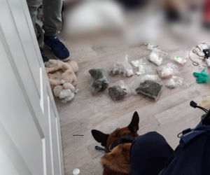 Białystok. Policja WKROCZYŁA do mieszkania. Narkotyki w pluszowym misiu i w bieliźnie 23-latki