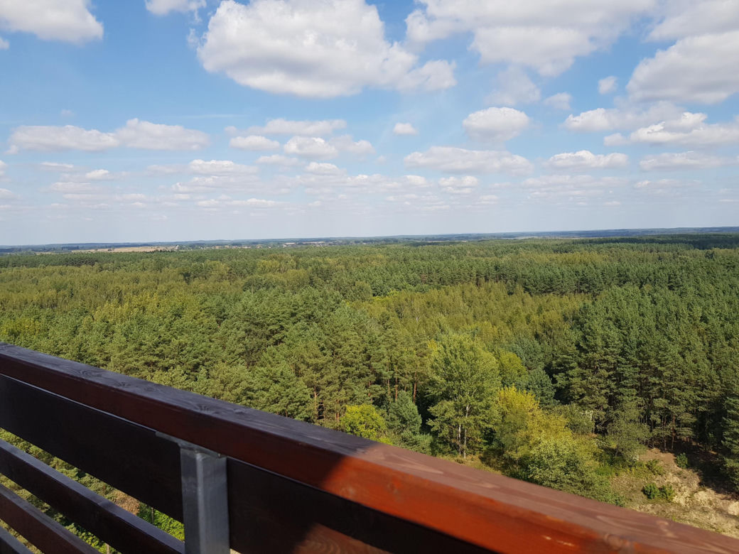 Wieża widokowa w Uhowie. To najwyższa wieża na Podlasiu [ZDJĘCIA]