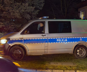 Zabójstwo 11-latki w Jeleniej Górze