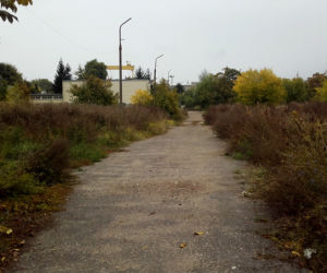 Gontynka