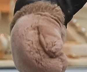 Monika Olejnik czy Włóczykij?