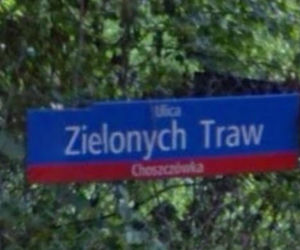 Oto najbardziej wiosenne ulice w stolicy! Tu wiosna trwa cały rok!