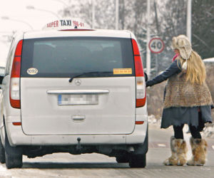 To nie Yeti, to Lisza!