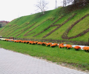 Chryzantemy ozdobiły Starachowice