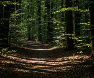 Fałszywy alarm w Koninie. Jak zakończyły się poszukiwania zaginionego?