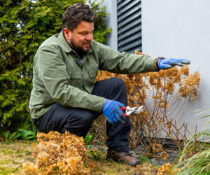 Wiosenne porządki w ogrodzie