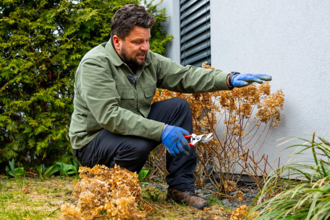 Wiosenne porządki w ogrodzie