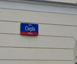 Oto najbardziej wiosenne ulice w stolicy! Tu wiosna trwa cały rok!