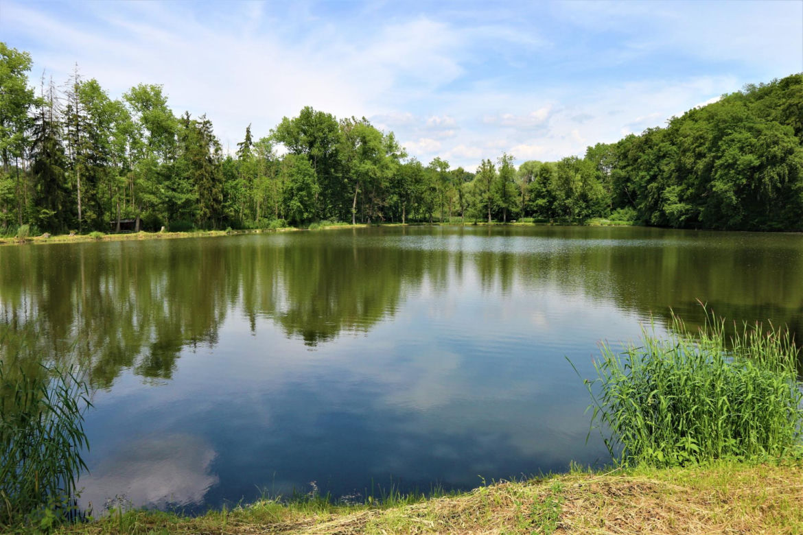 Jezioro Sławskie