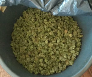 Marihuana